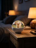 EverGlow Memory Orb glowing on a nightstand, playing a video of a golden retriever